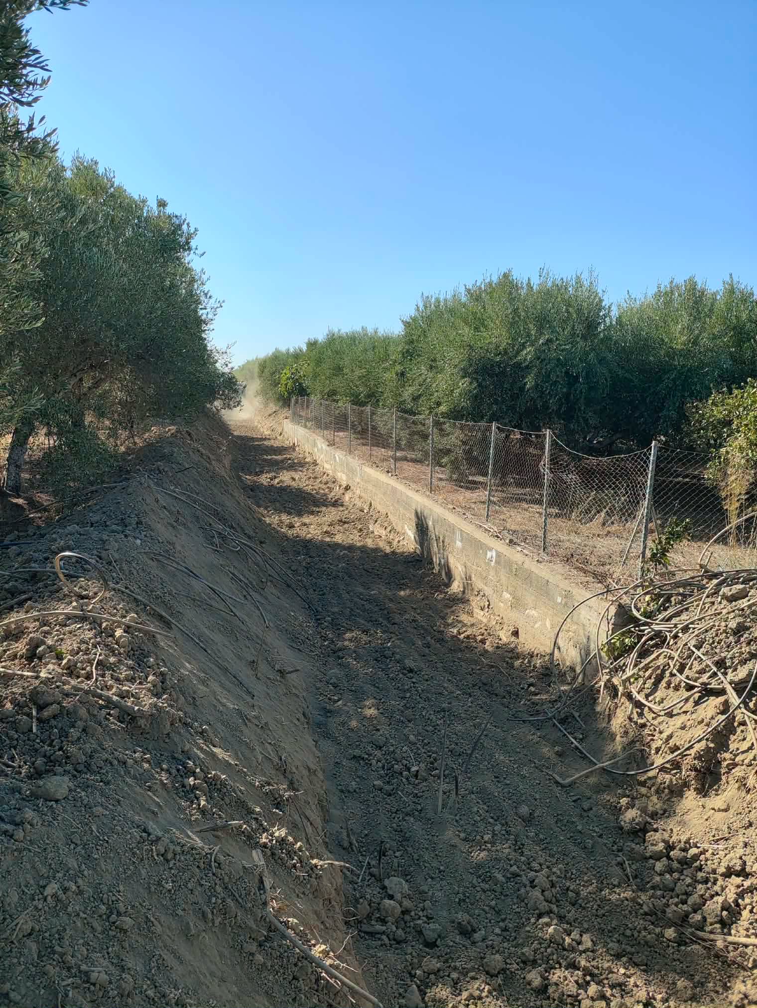 Καθαρισμένο χωμάτινο κανάλι ανάμεσα σε ελαιώνες